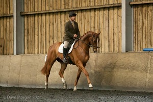 Isis Dressage Crown Farm Show 29th April 2012